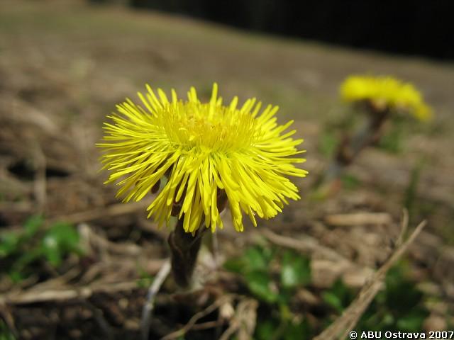 img00048.jpg