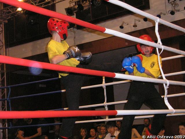 img00009.jpg