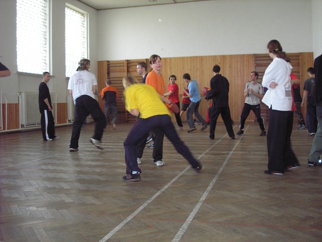 img00003.jpg