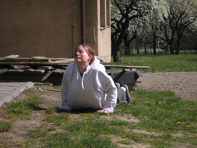img00017.jpg