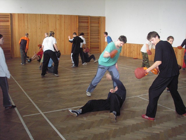 img00043.jpg