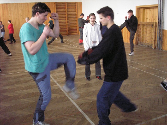 img00044.jpg