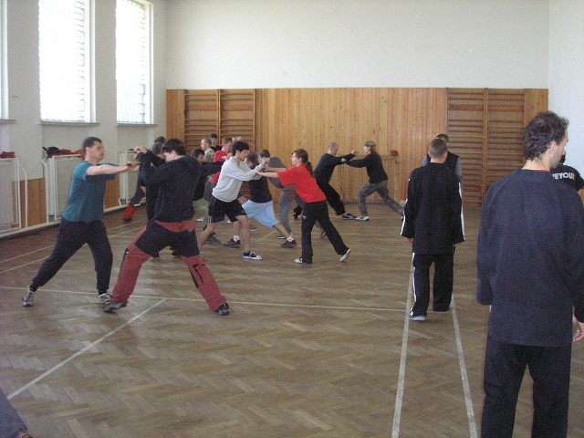 img00049.jpg