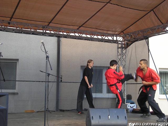 img00011.jpg