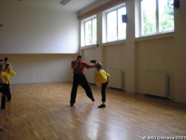 img00019.jpg
