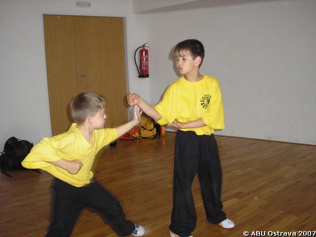 img00029.jpg