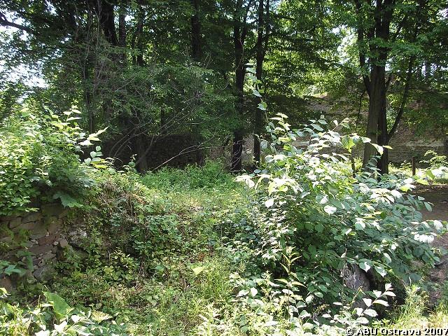 img00039.jpg