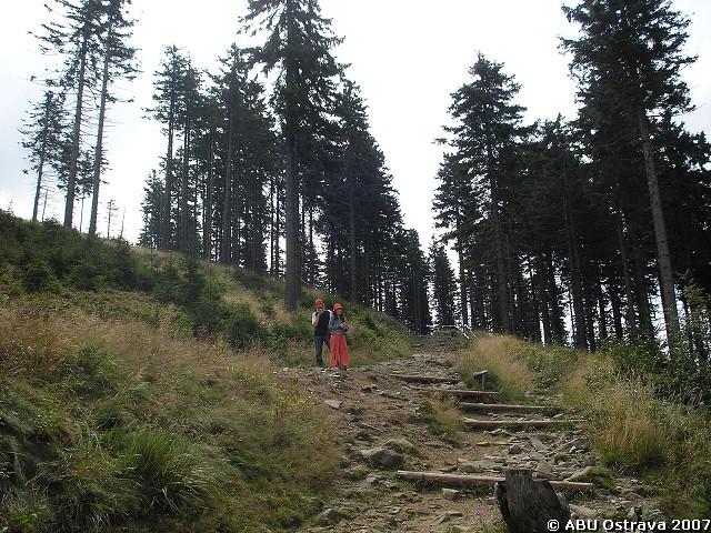 img00009.jpg