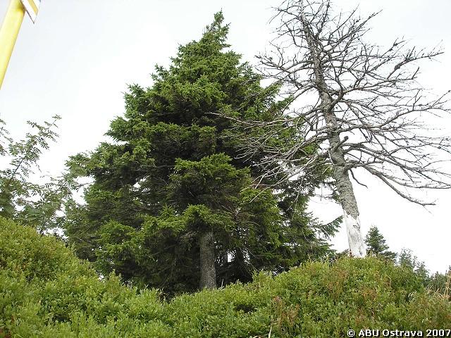 img00020.jpg