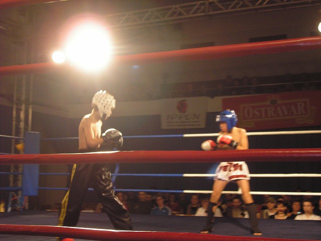 img00005.jpg