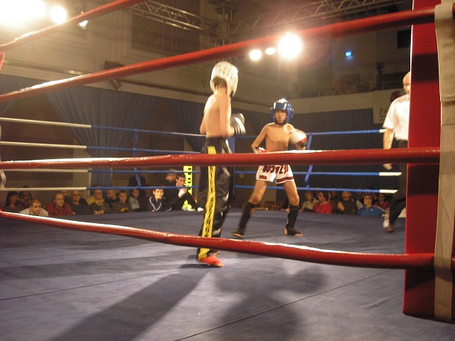 img00009.jpg