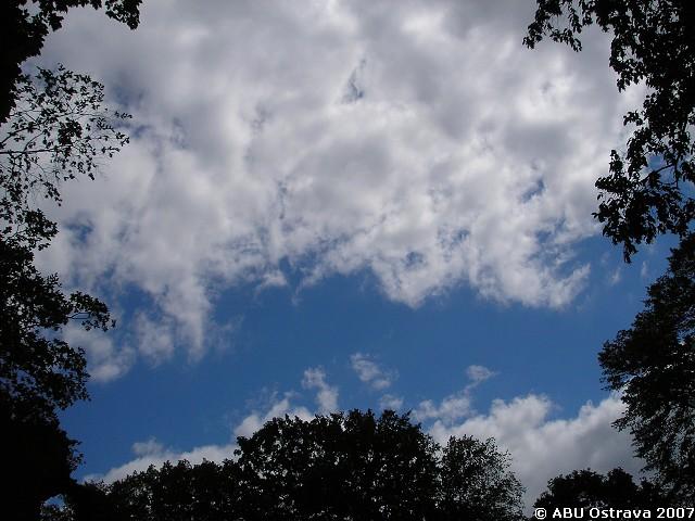 img00007.jpg