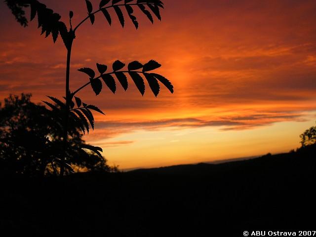 img00028.jpg