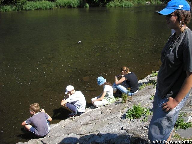 img00032.jpg
