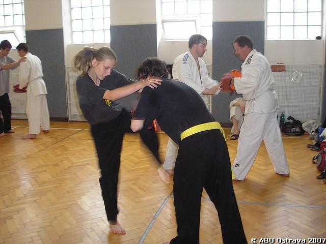 img00080.jpg