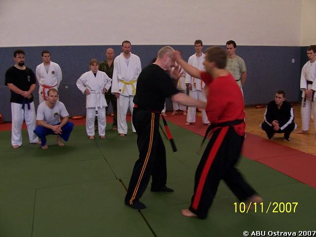 img00010.jpg