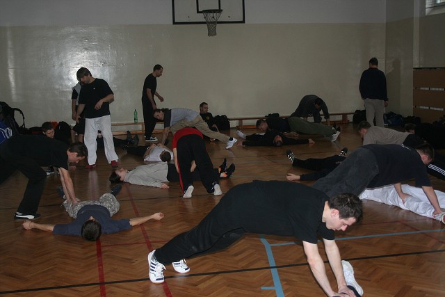 img00029.jpg