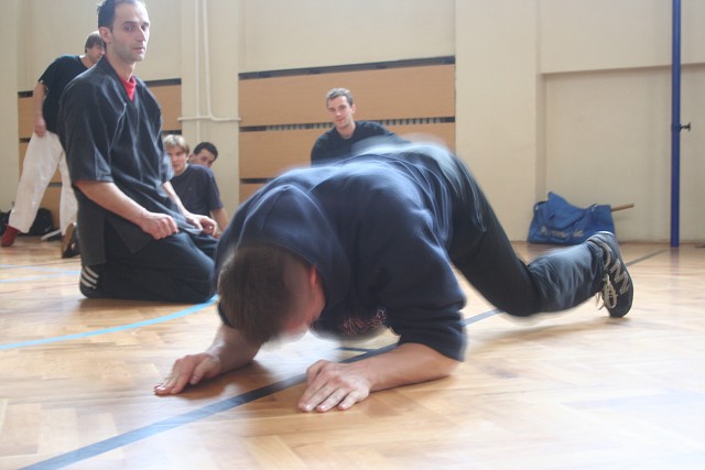 img00074.jpg
