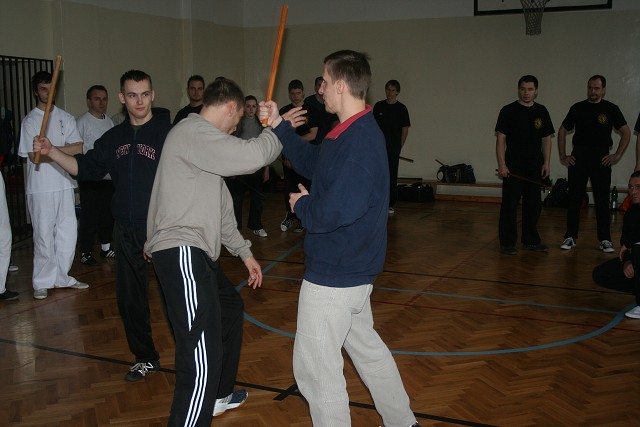img00091.jpg