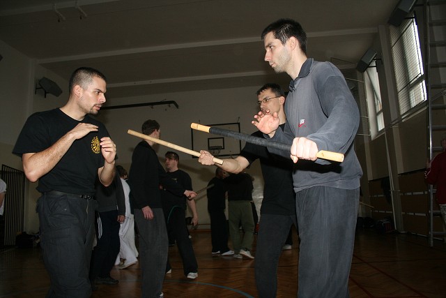 img00105.jpg