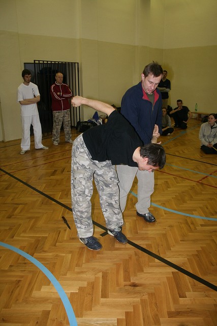 img00155.jpg