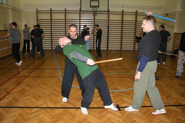 img00167.jpg