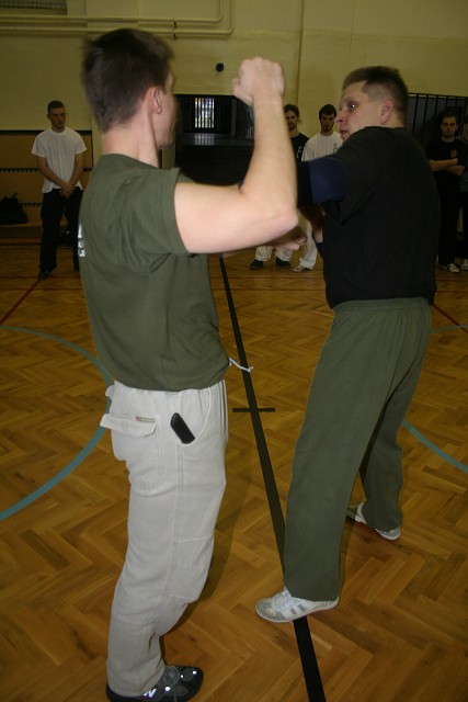img00184.jpg