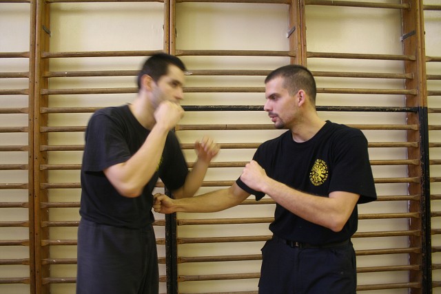 img00210.jpg