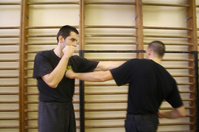 img00212.jpg