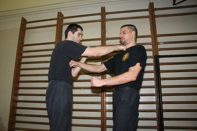 img00216.jpg
