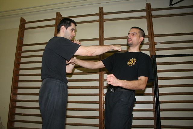 img00217.jpg