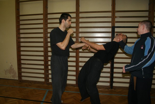 img00221.jpg