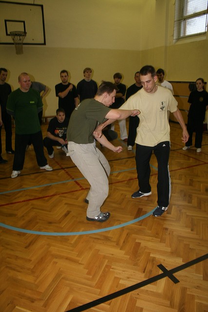 img00231.jpg