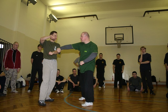 img00239.jpg