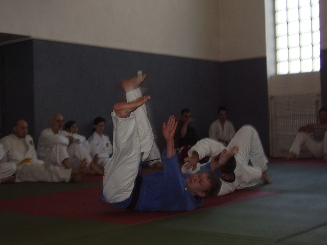 img00036.jpg