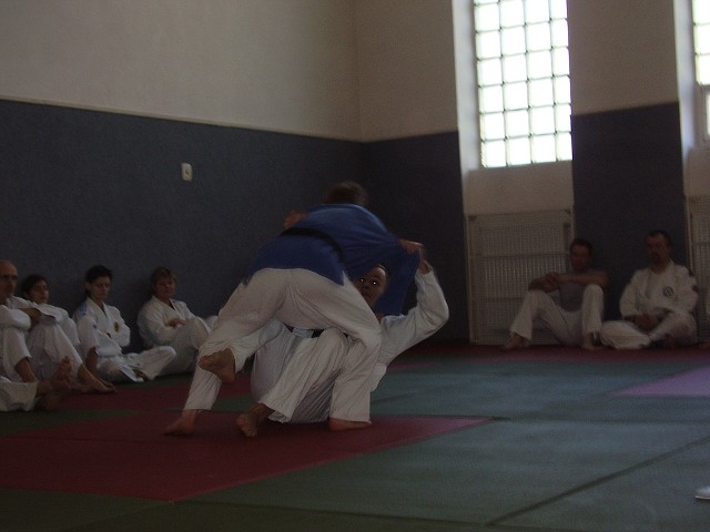 img00037.jpg