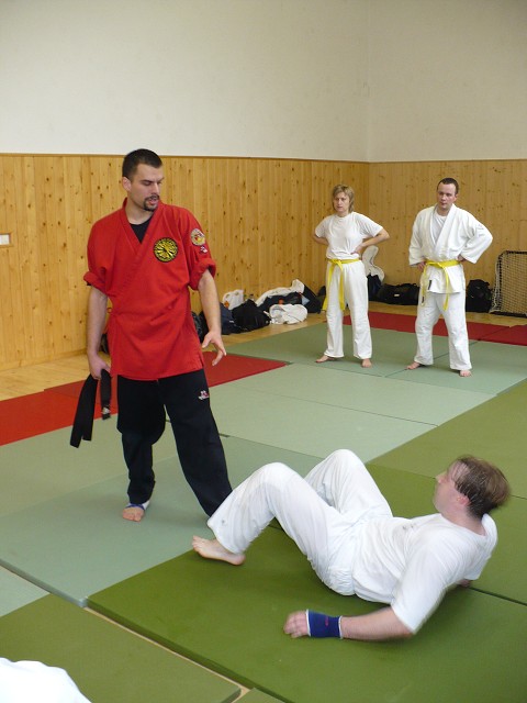 img00008.jpg