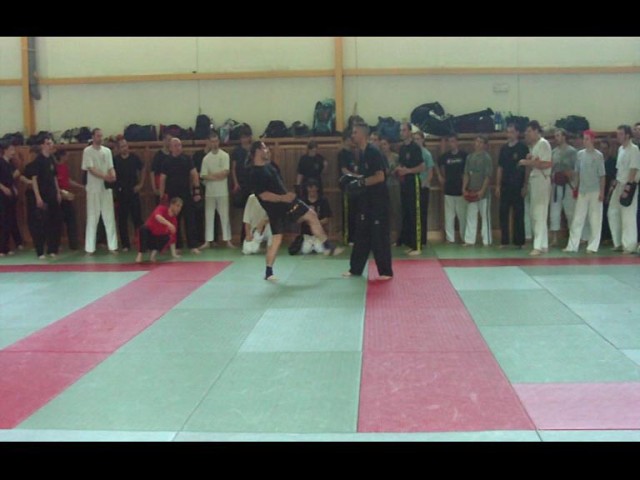 img00008.jpg